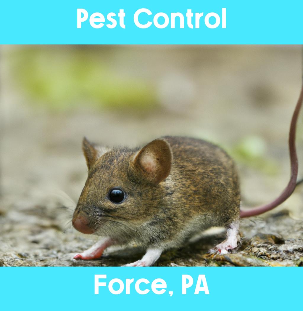 pest control in Force Pennsylvania