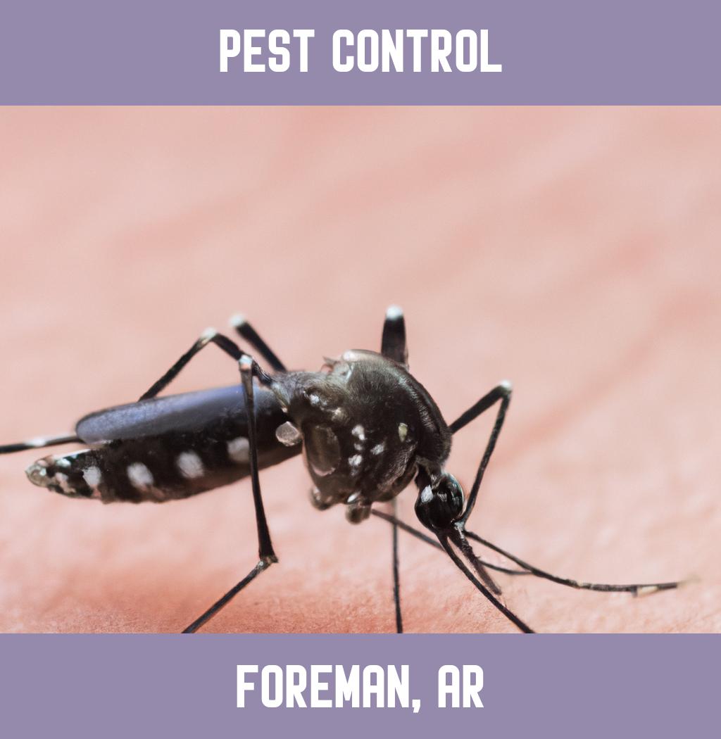 pest control in Foreman Arkansas