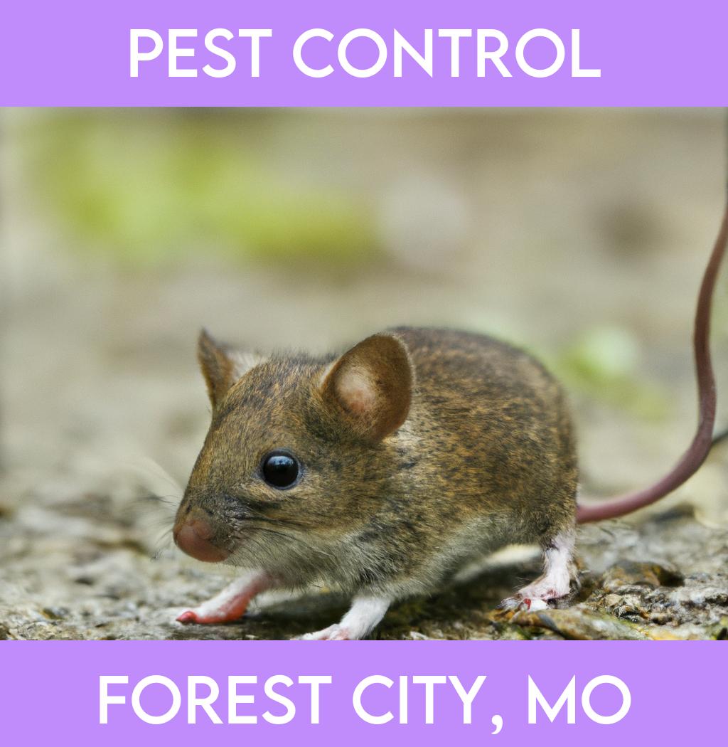 pest control in Forest City Missouri