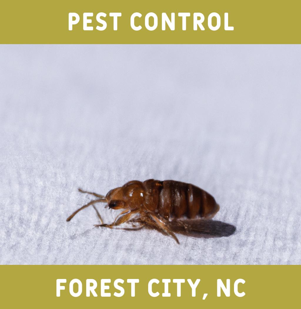 pest control in Forest City North Carolina