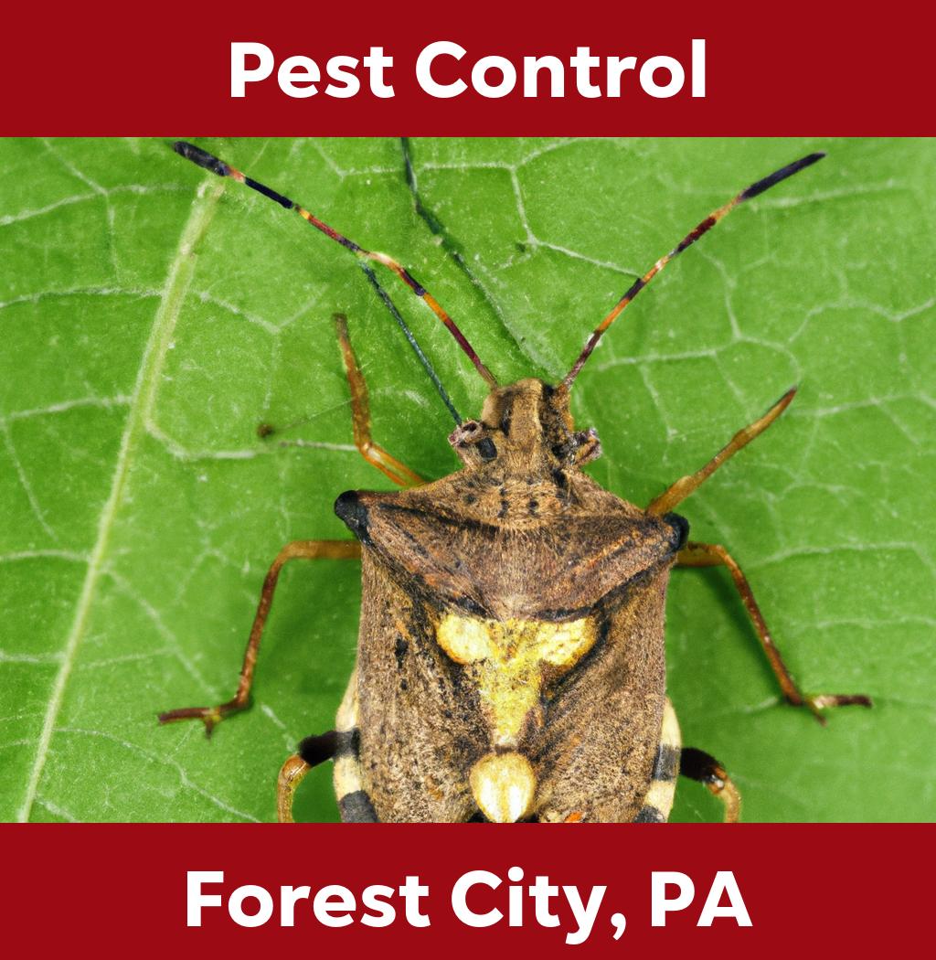 pest control in Forest City Pennsylvania