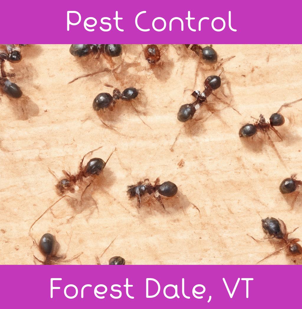 pest control in Forest Dale Vermont