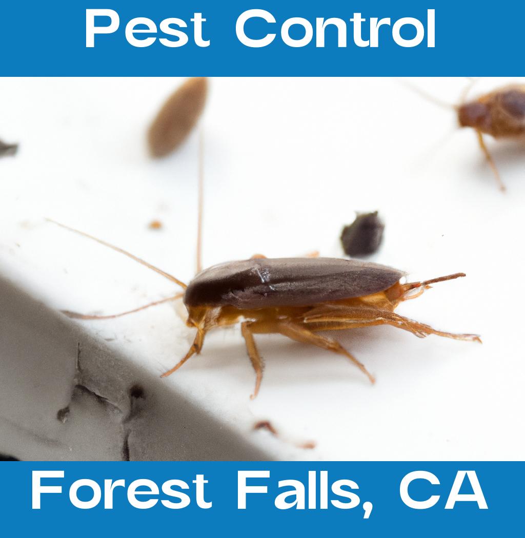 pest control in Forest Falls California