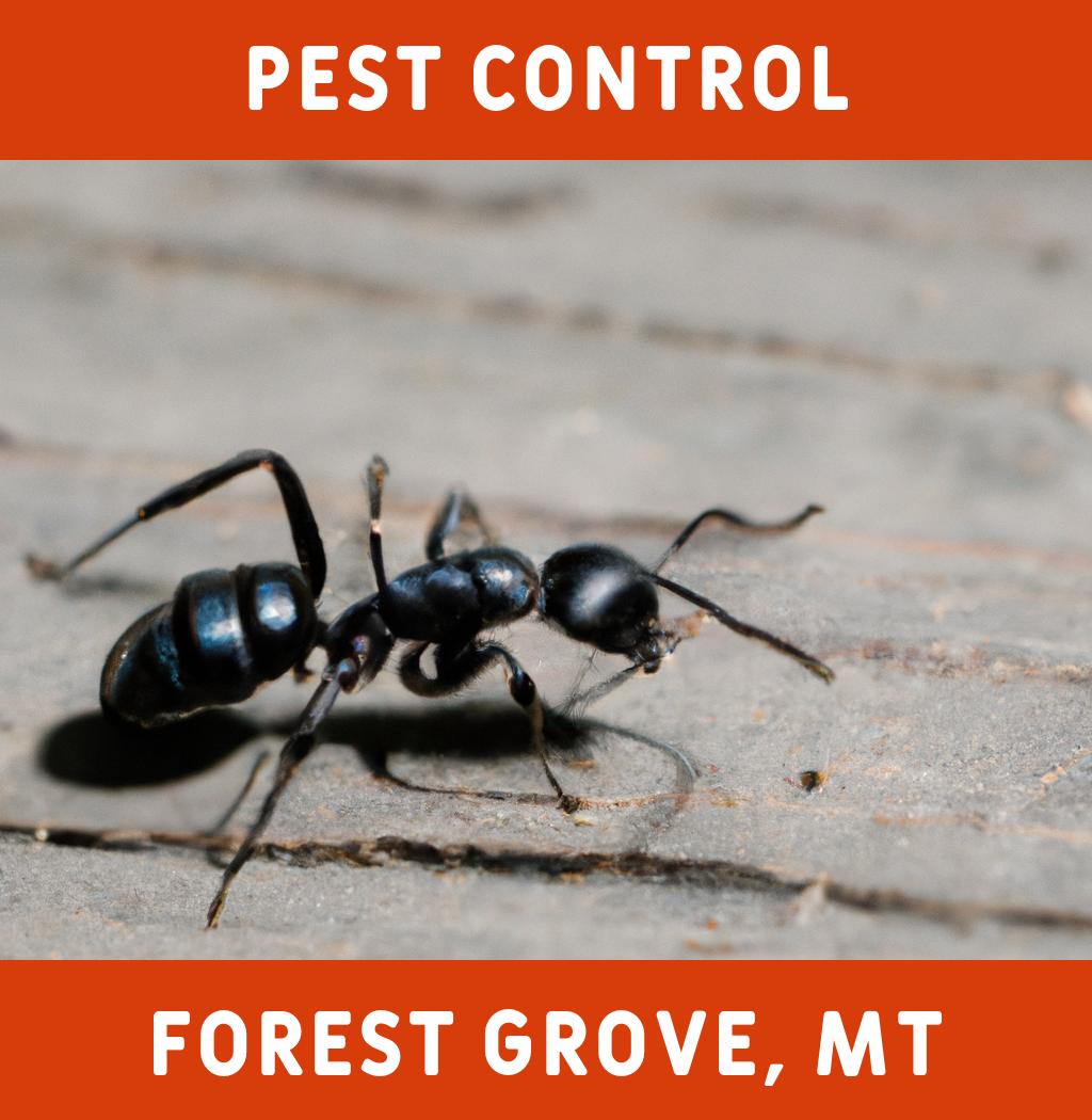 pest control in Forest Grove Montana