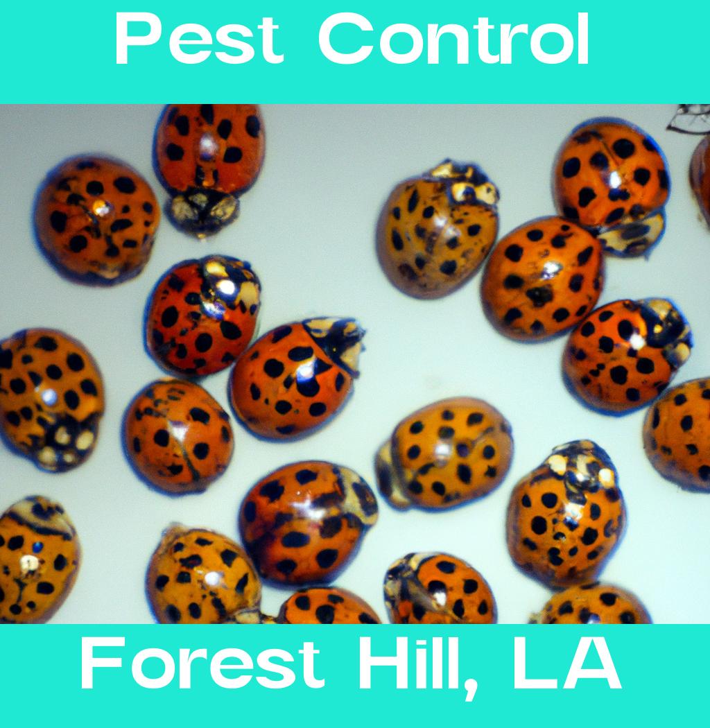 pest control in Forest Hill Louisiana