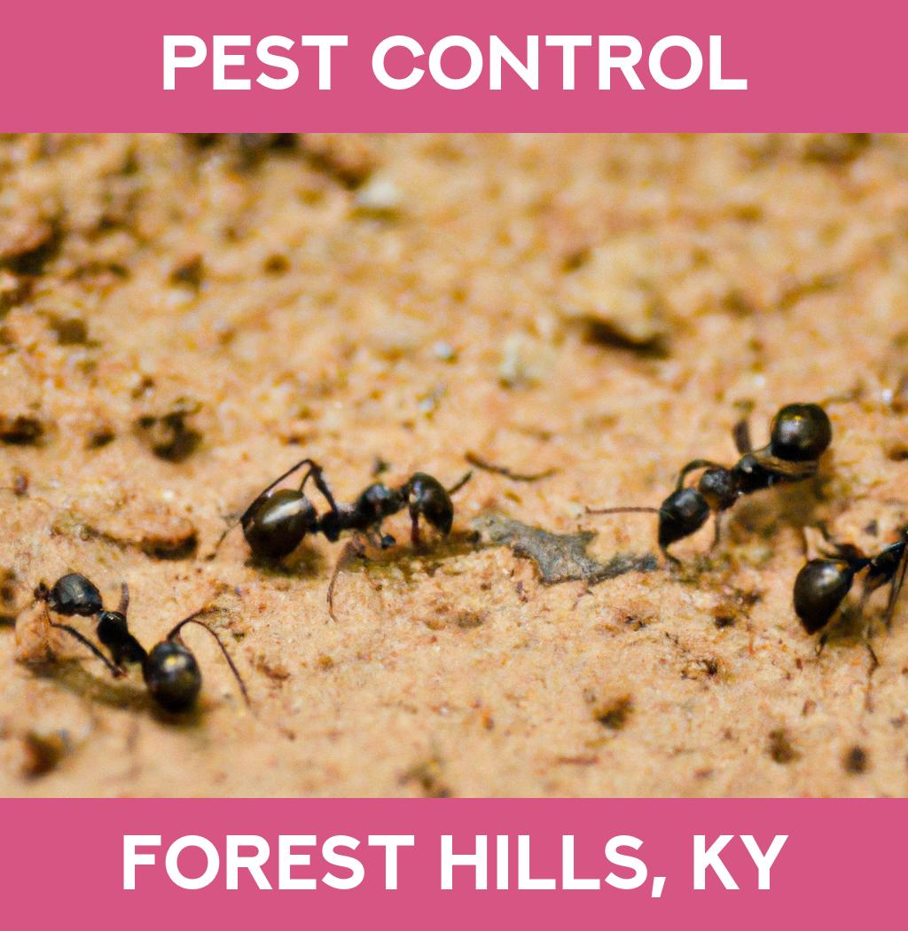 pest control in Forest Hills Kentucky