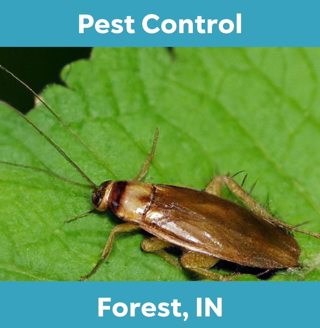 pest control in Forest Indiana