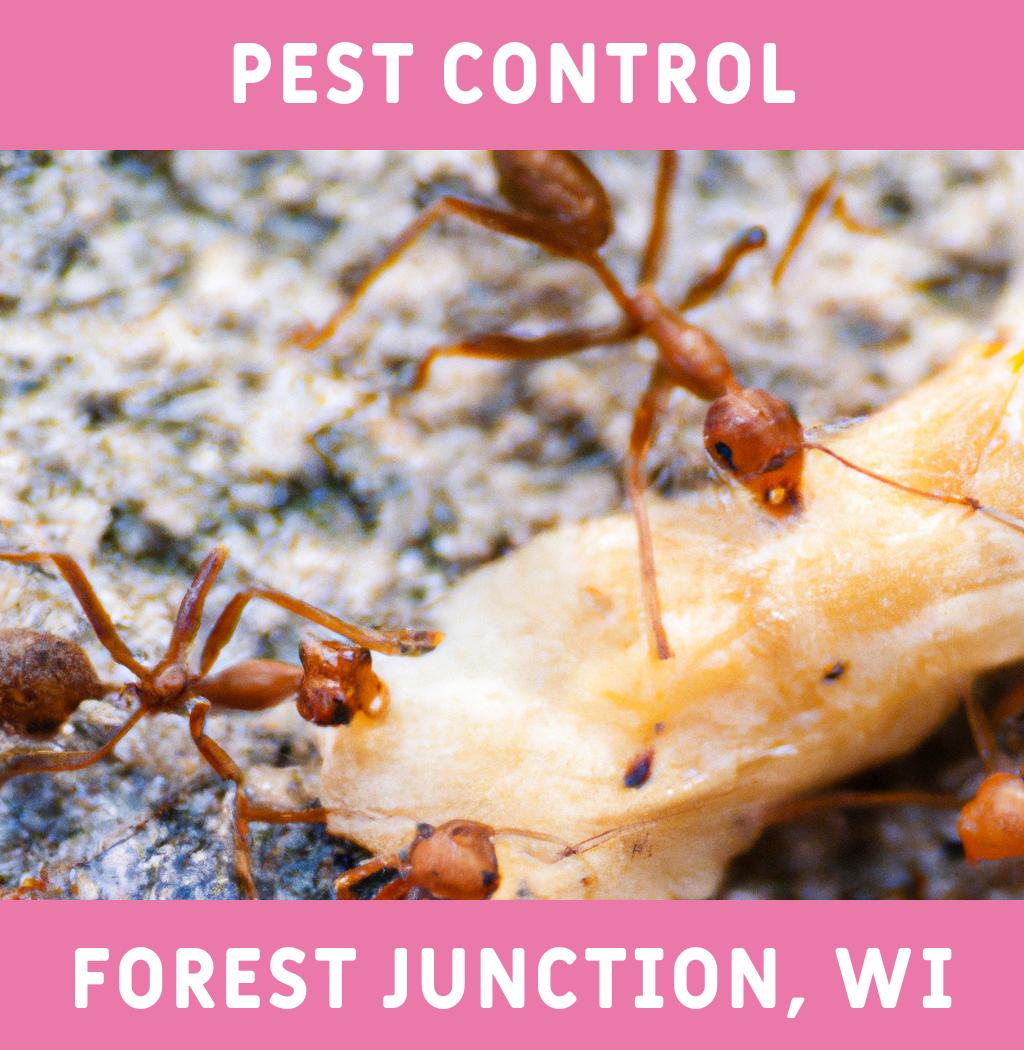 pest control in Forest Junction Wisconsin