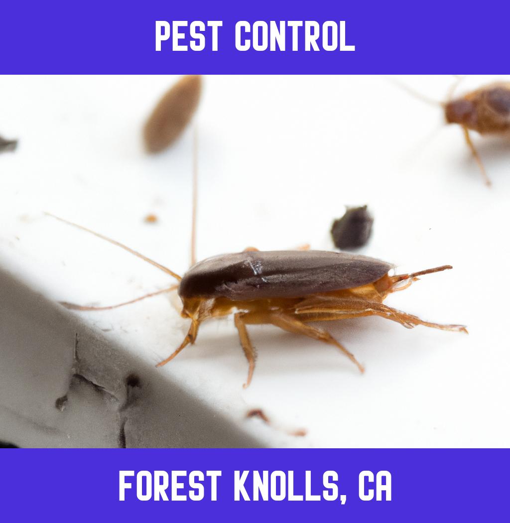 pest control in Forest Knolls California