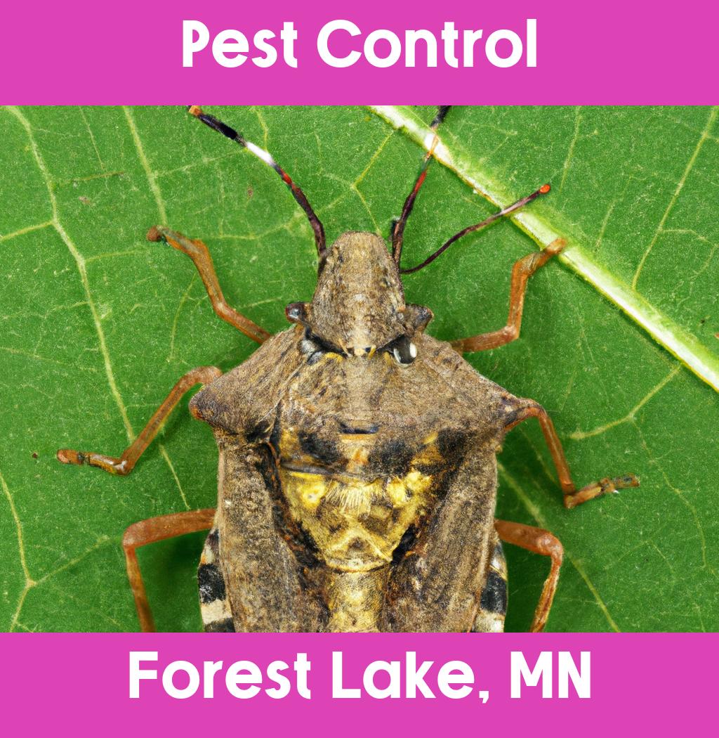 pest control in Forest Lake Minnesota