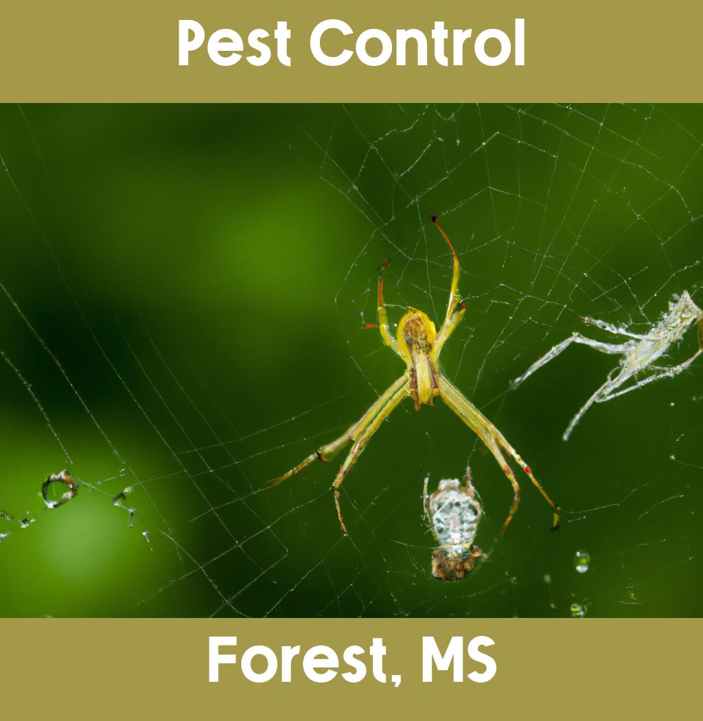 pest control in Forest Mississippi