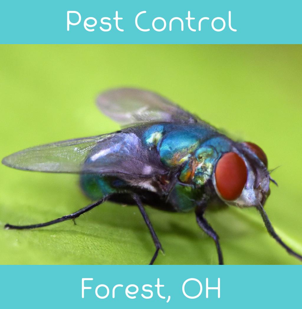 pest control in Forest Ohio