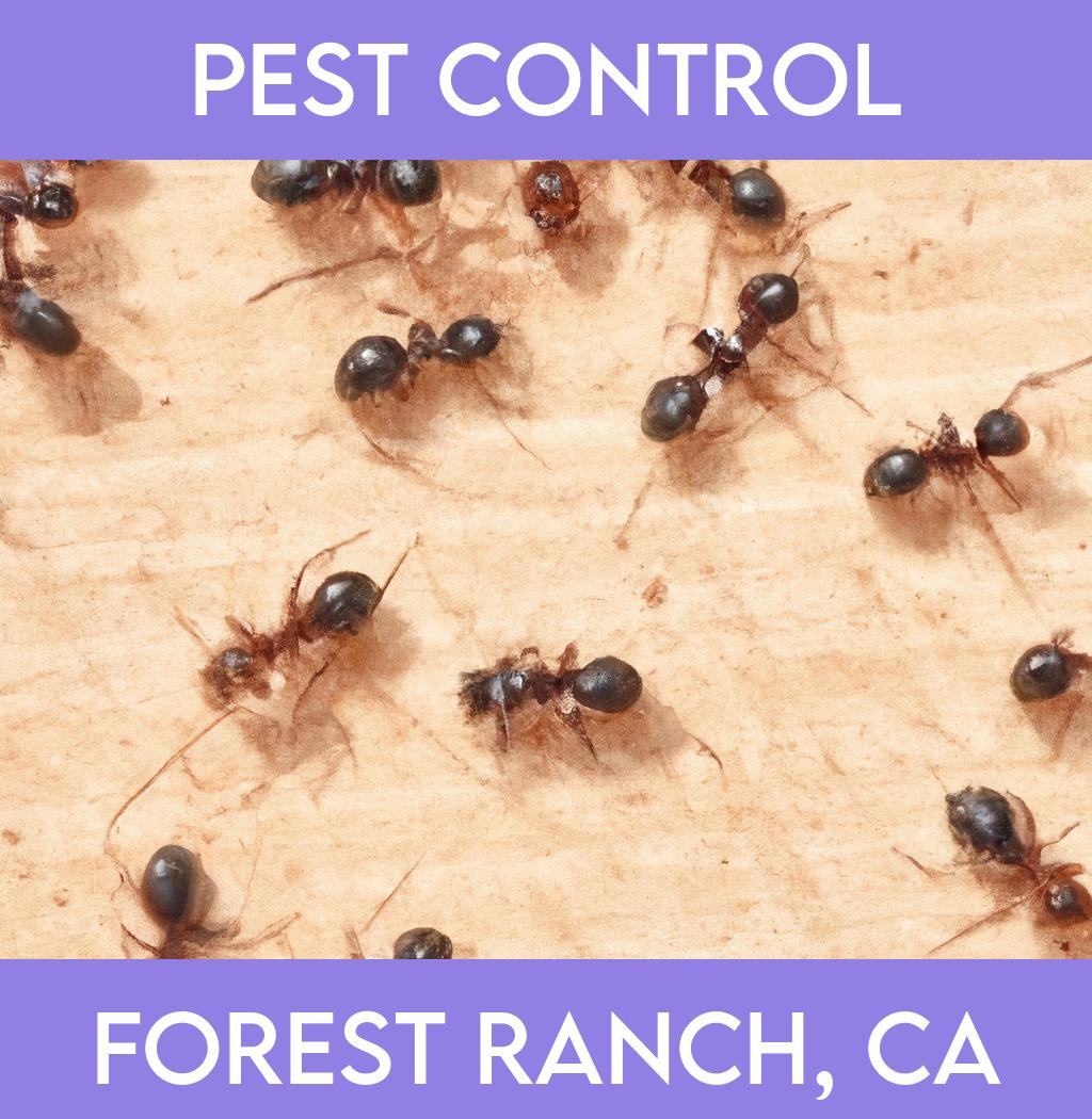 pest control in Forest Ranch California