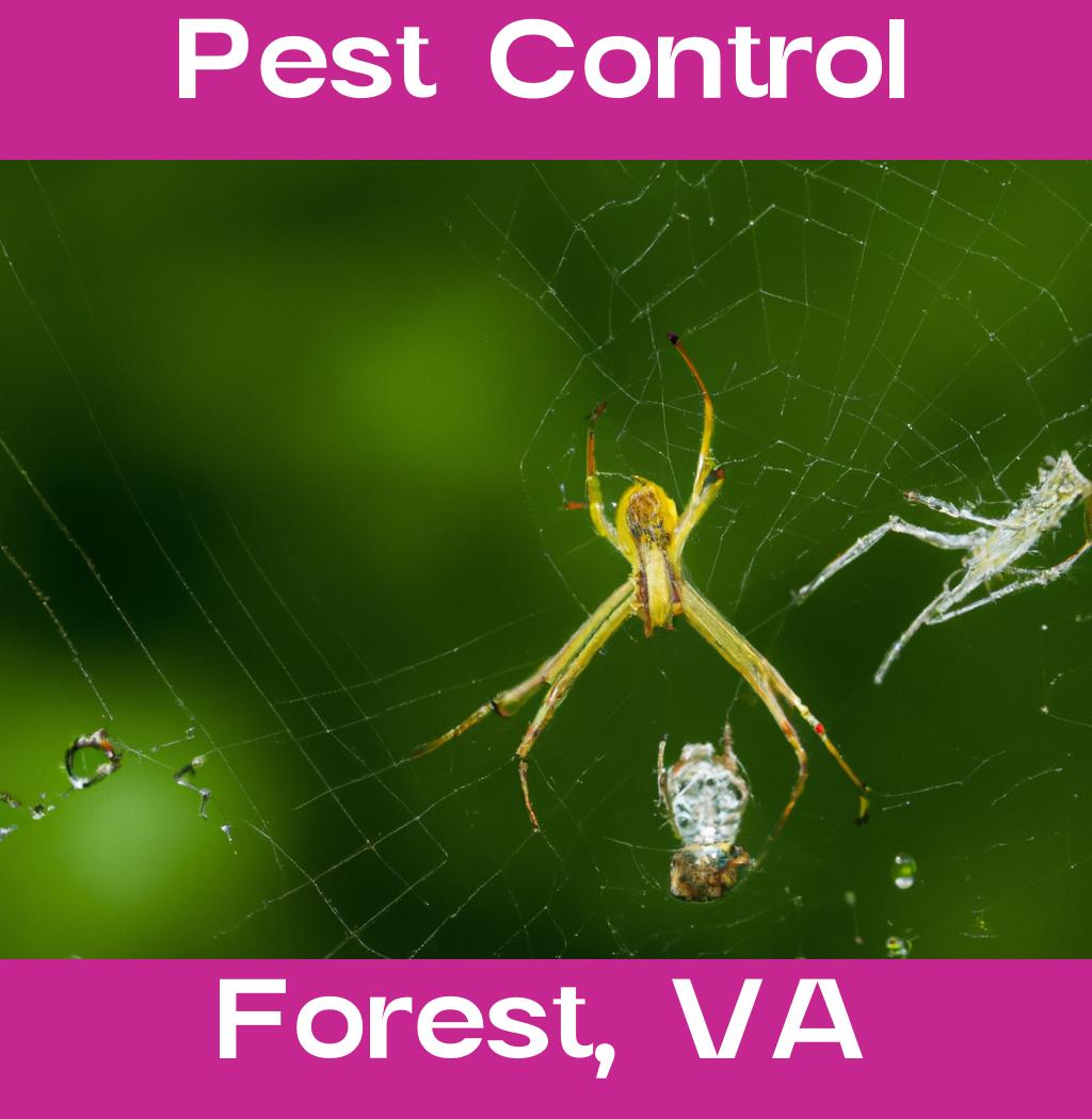 pest control in Forest Virginia