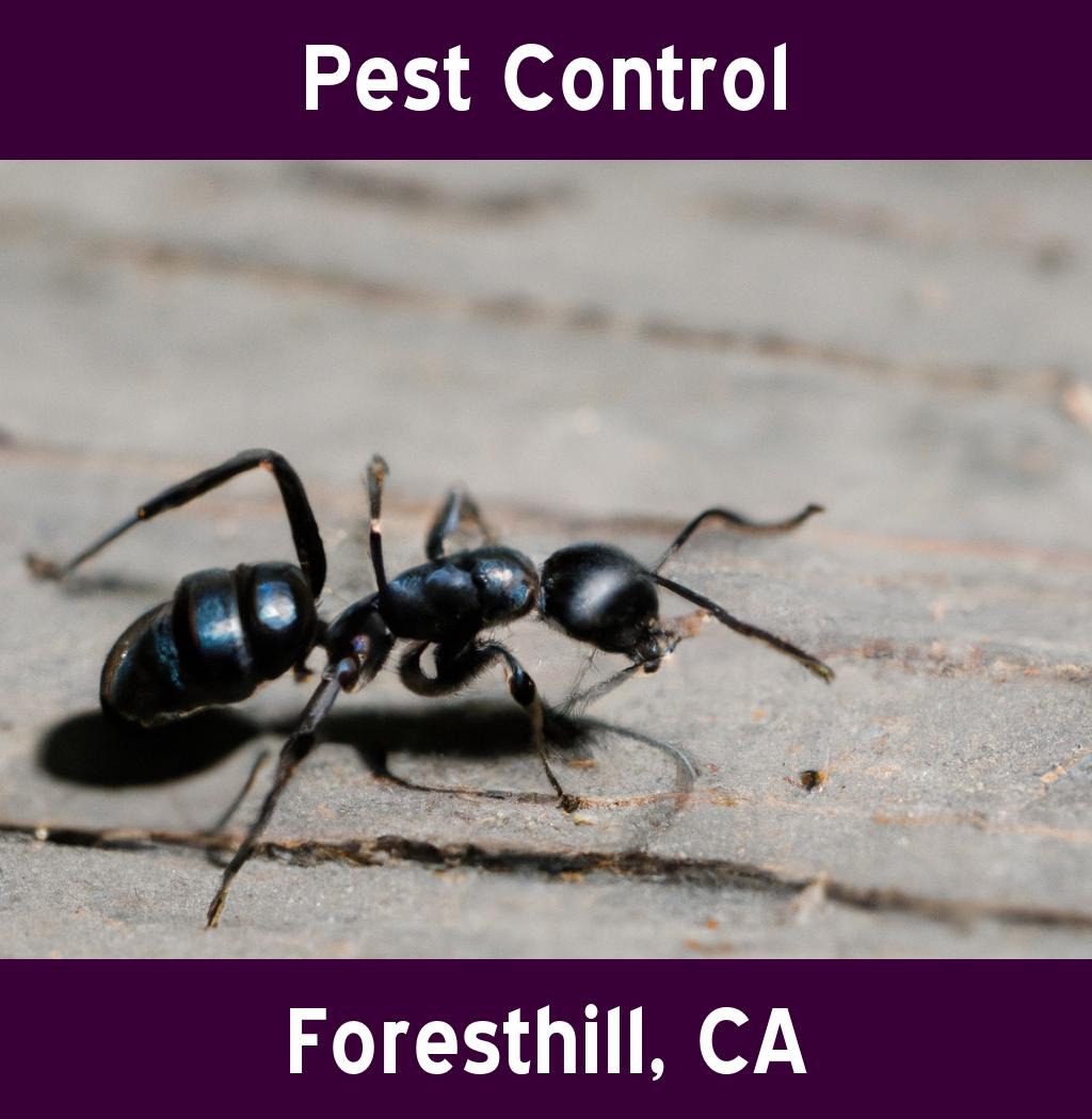 pest control in Foresthill California