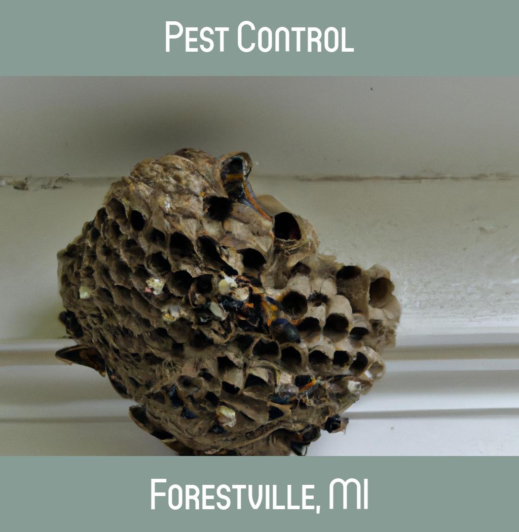 pest control in Forestville Michigan