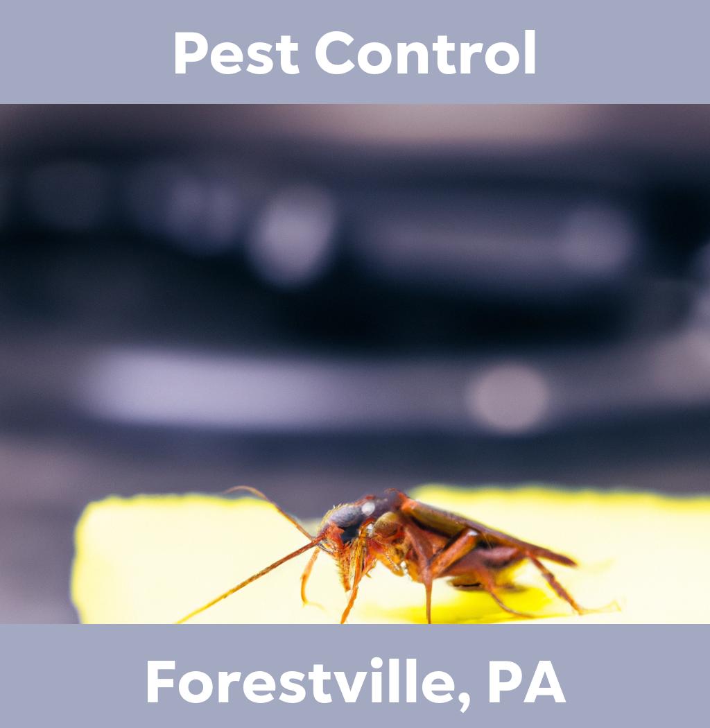 pest control in Forestville Pennsylvania