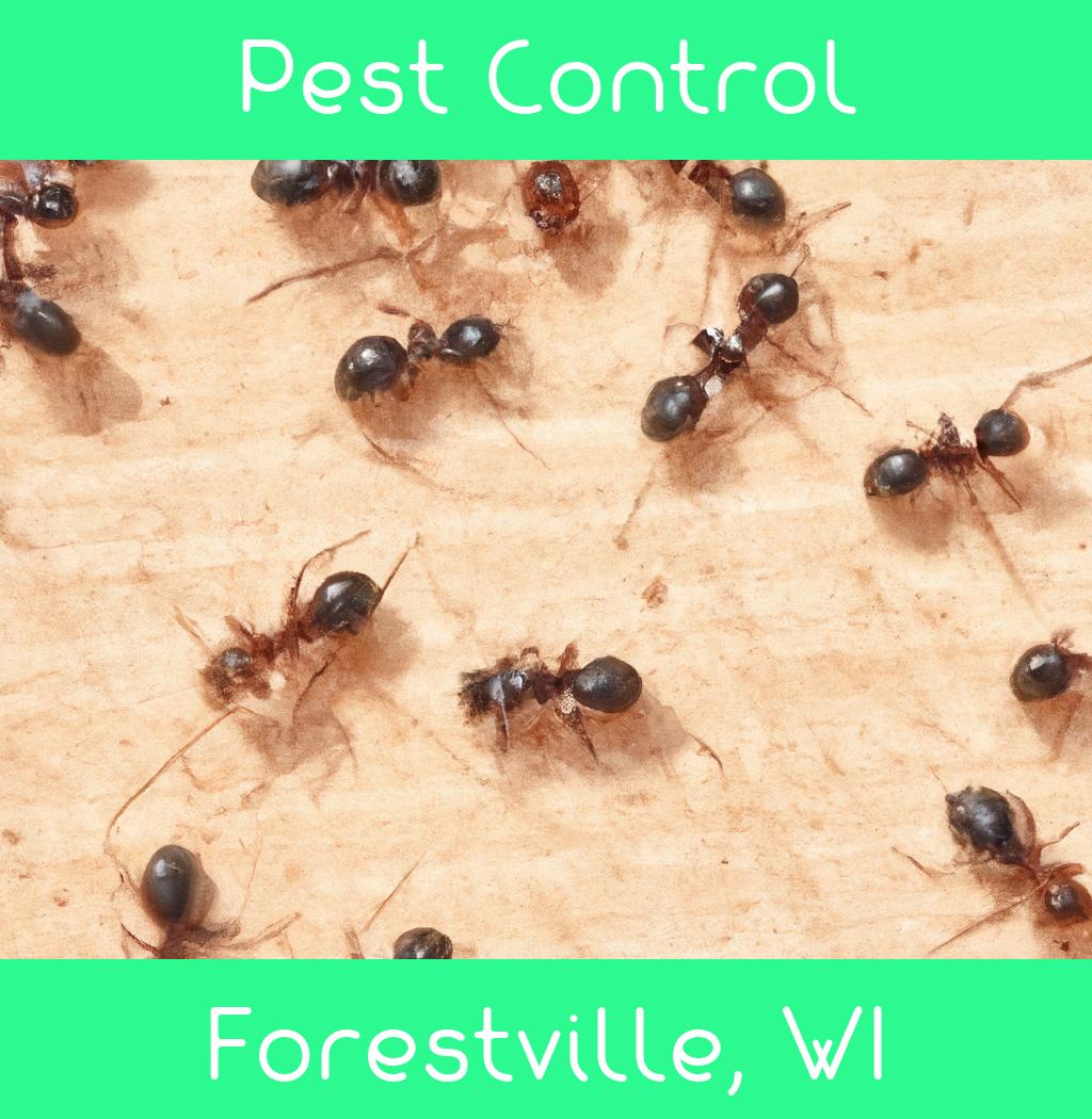 pest control in Forestville Wisconsin