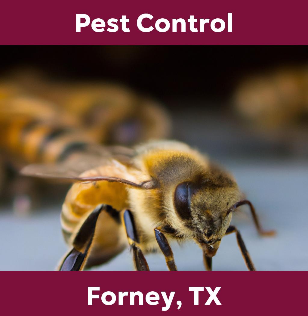 pest control in Forney Texas