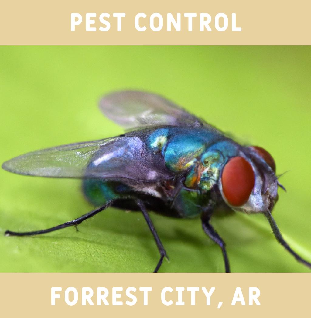 pest control in Forrest City Arkansas