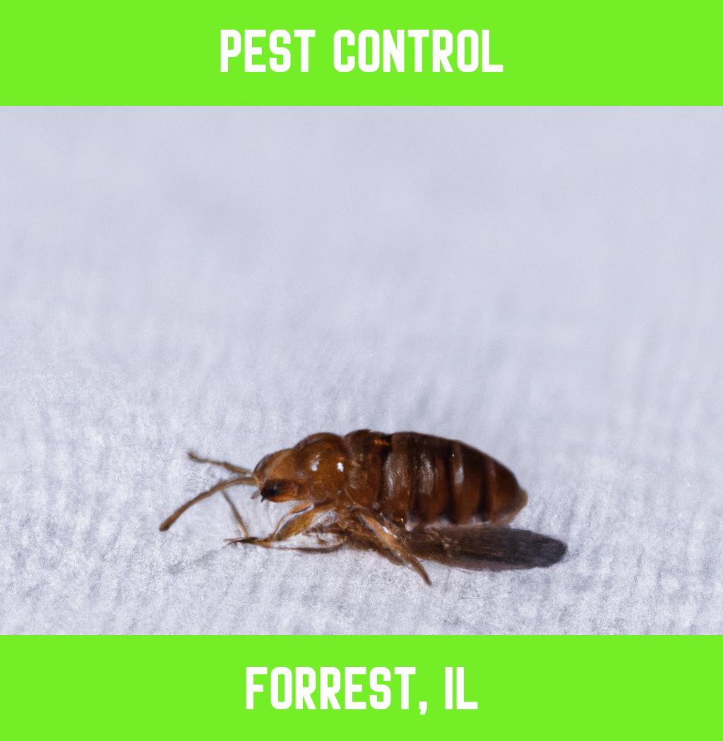 pest control in Forrest Illinois