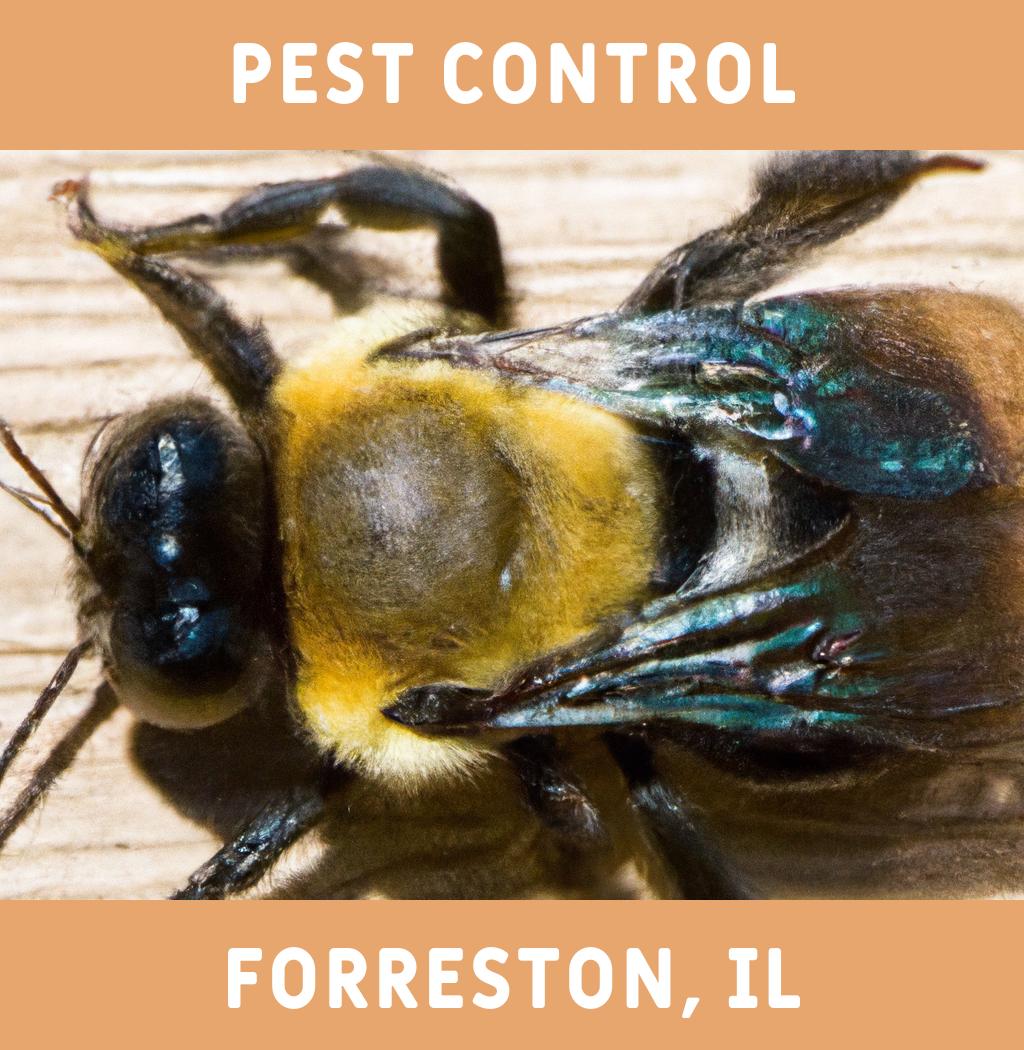 pest control in Forreston Illinois