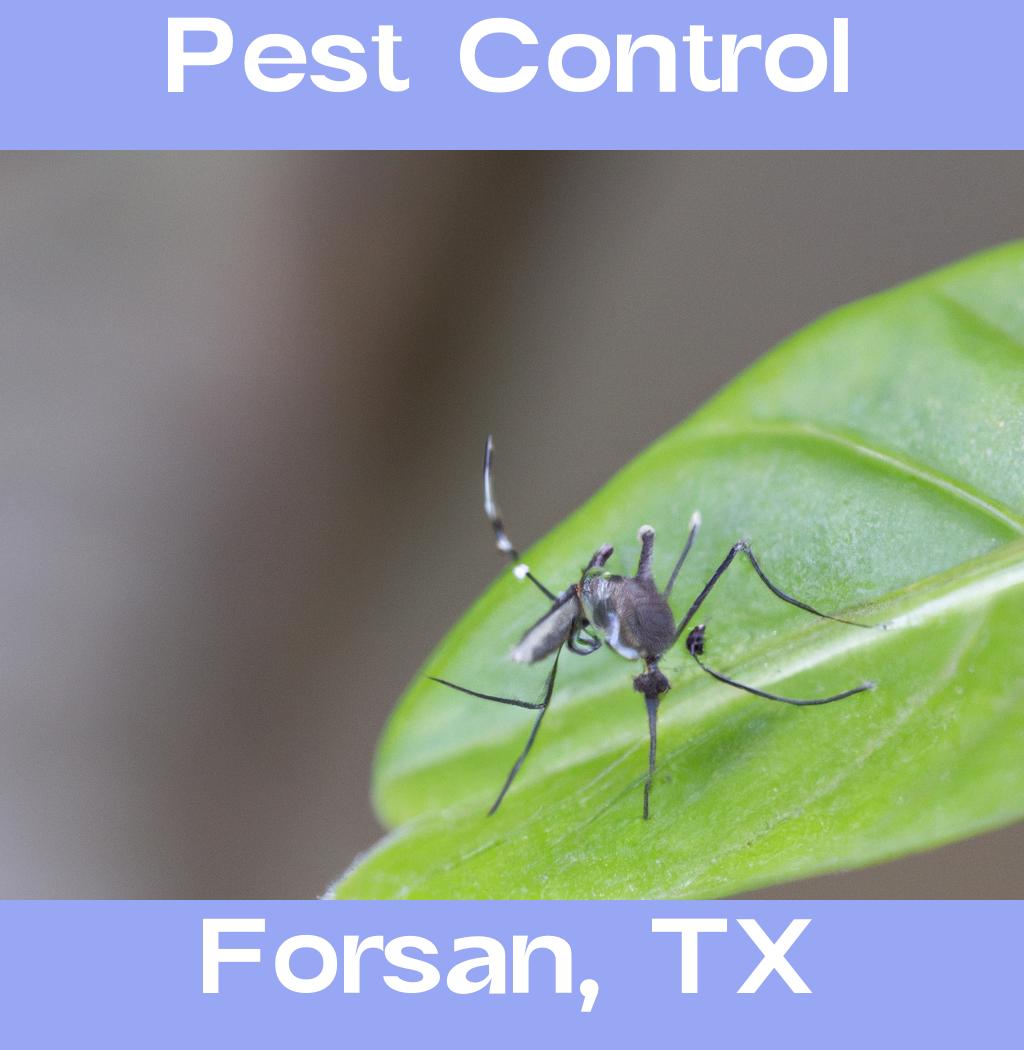 pest control in Forsan Texas
