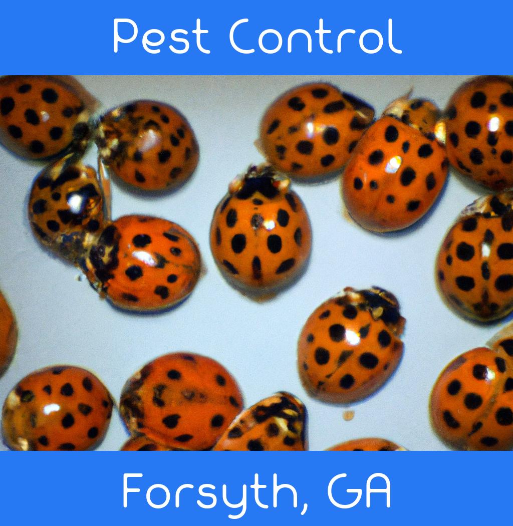 pest control in Forsyth Georgia