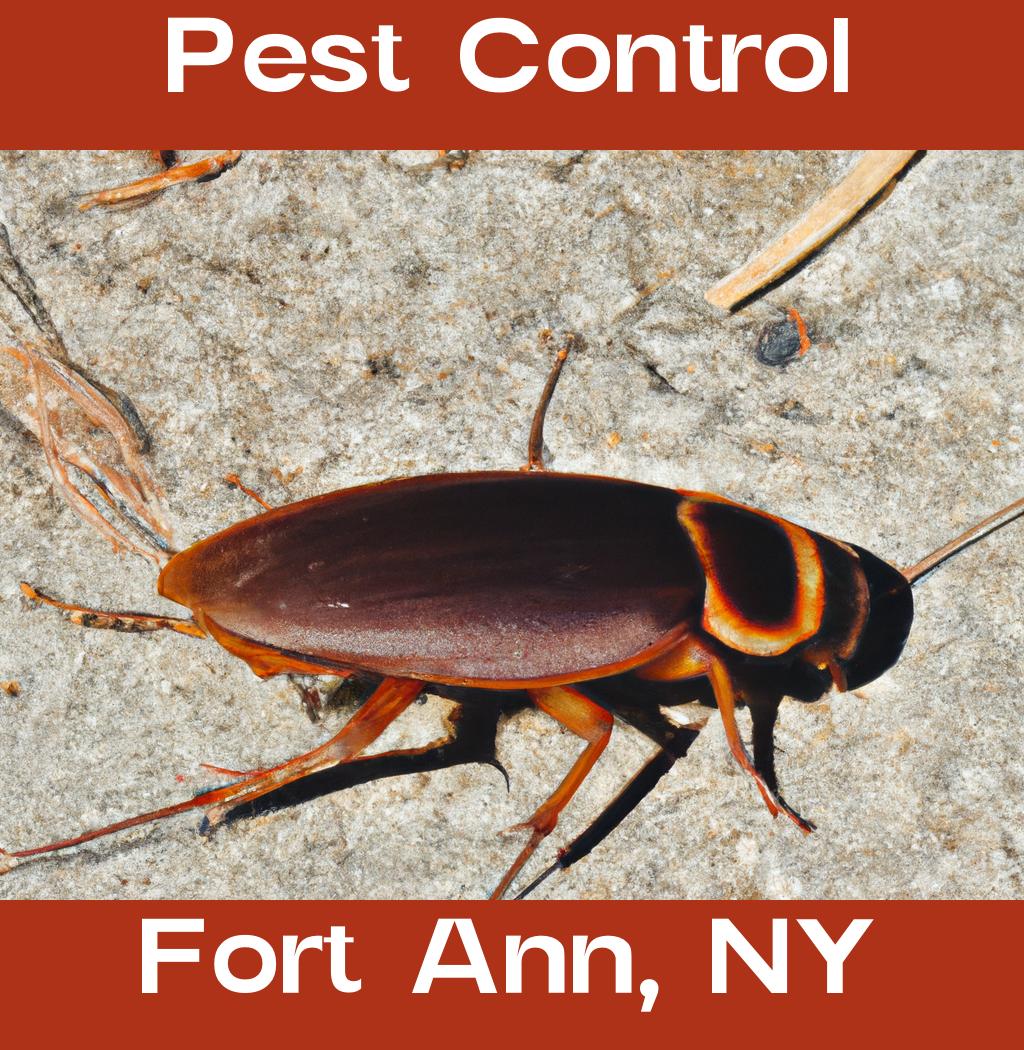 pest control in Fort Ann New York
