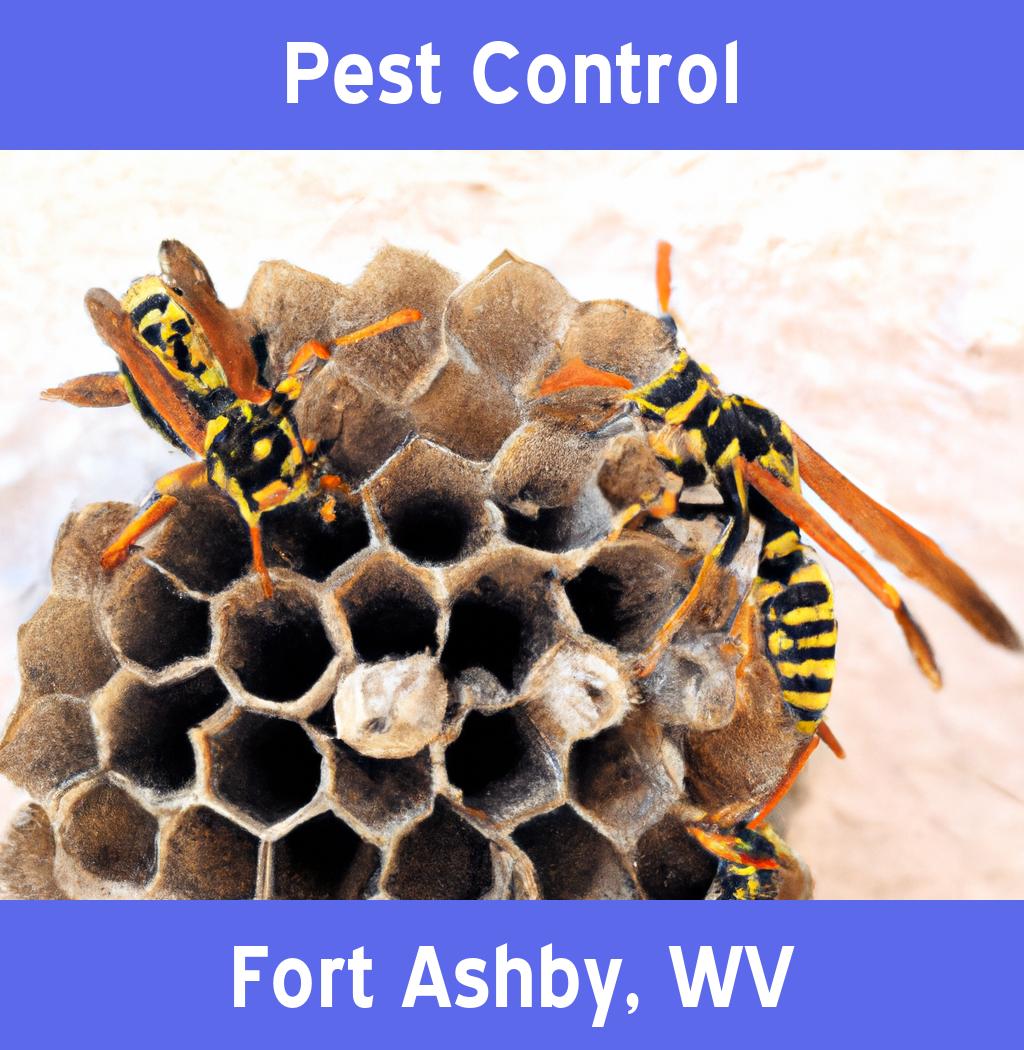 pest control in Fort Ashby West Virginia