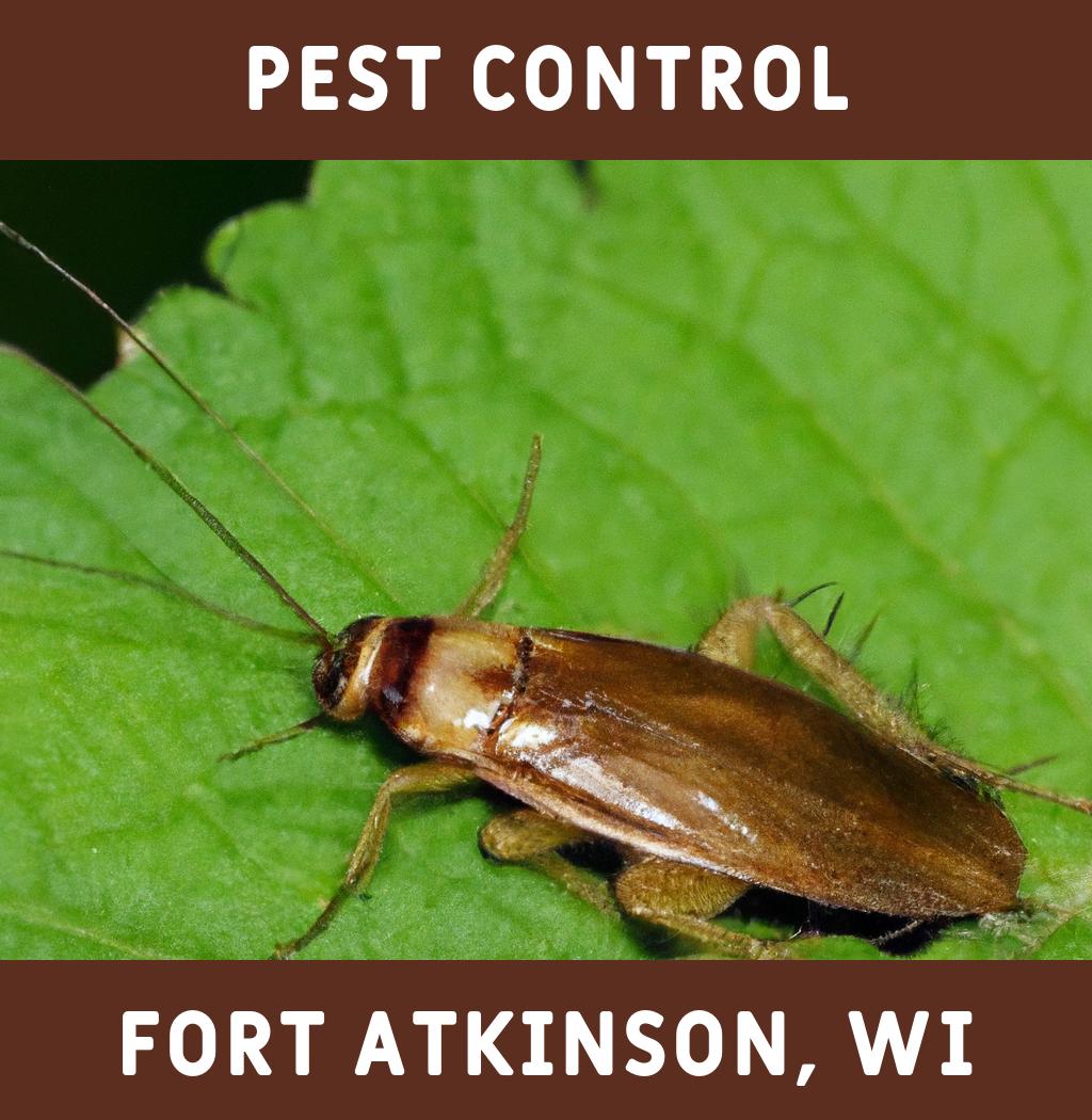 pest control in Fort Atkinson Wisconsin