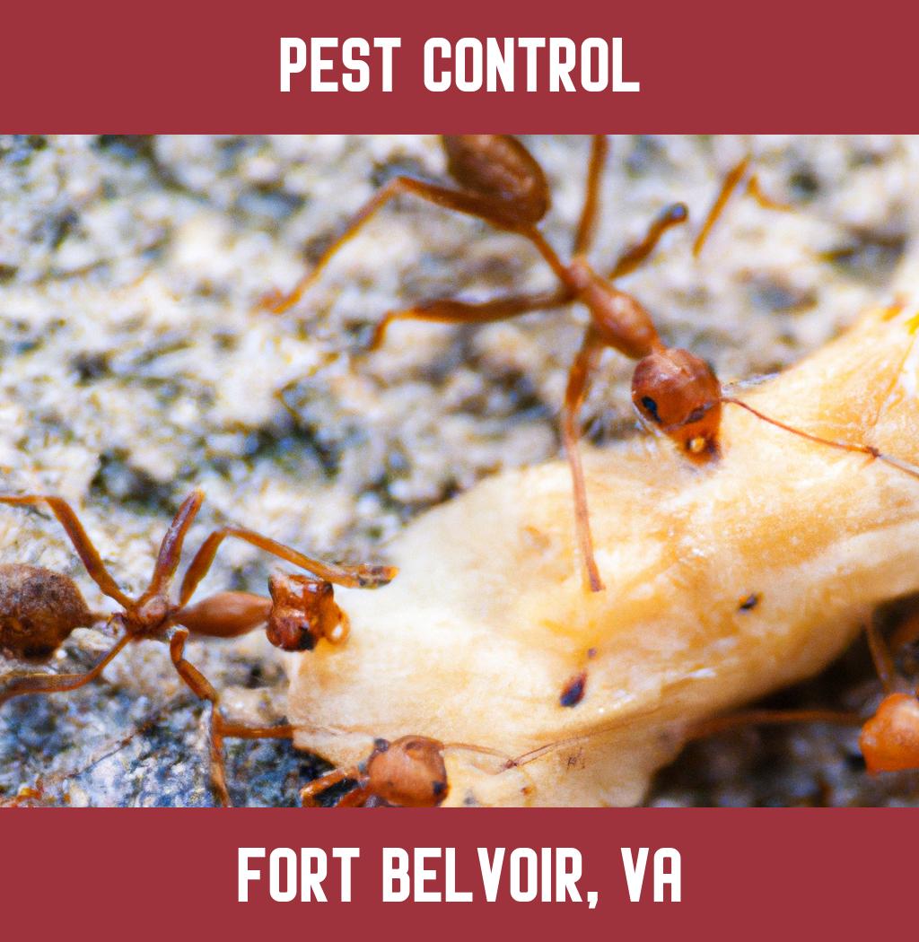 pest control in Fort Belvoir Virginia