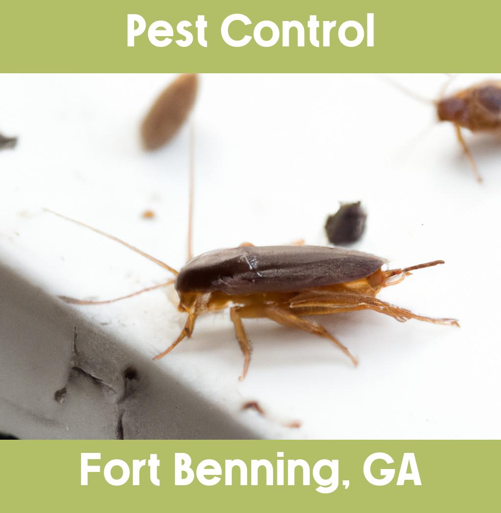 pest control in Fort Benning Georgia