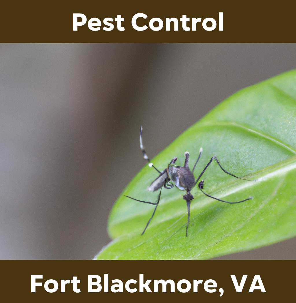 pest control in Fort Blackmore Virginia