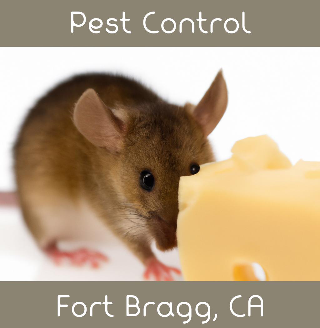 pest control in Fort Bragg California