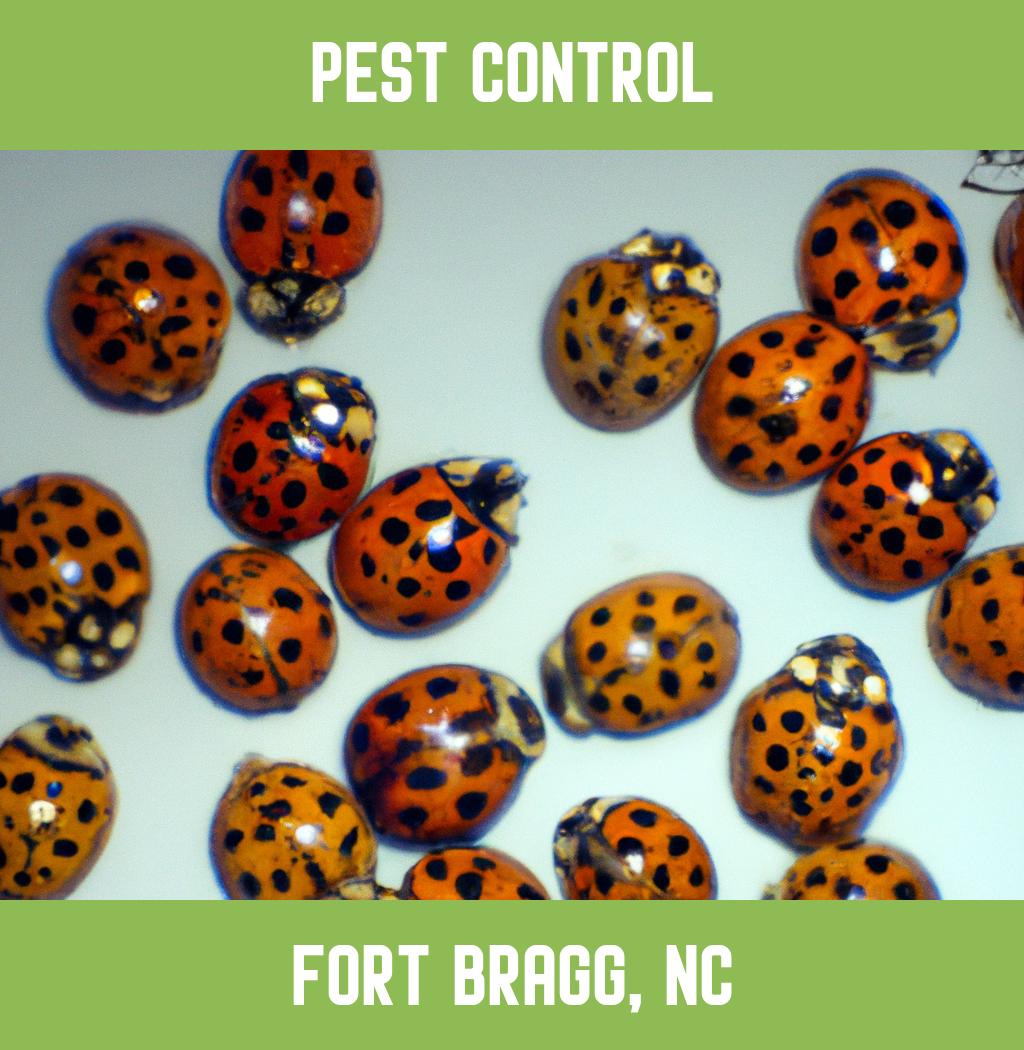 pest control in Fort Bragg North Carolina