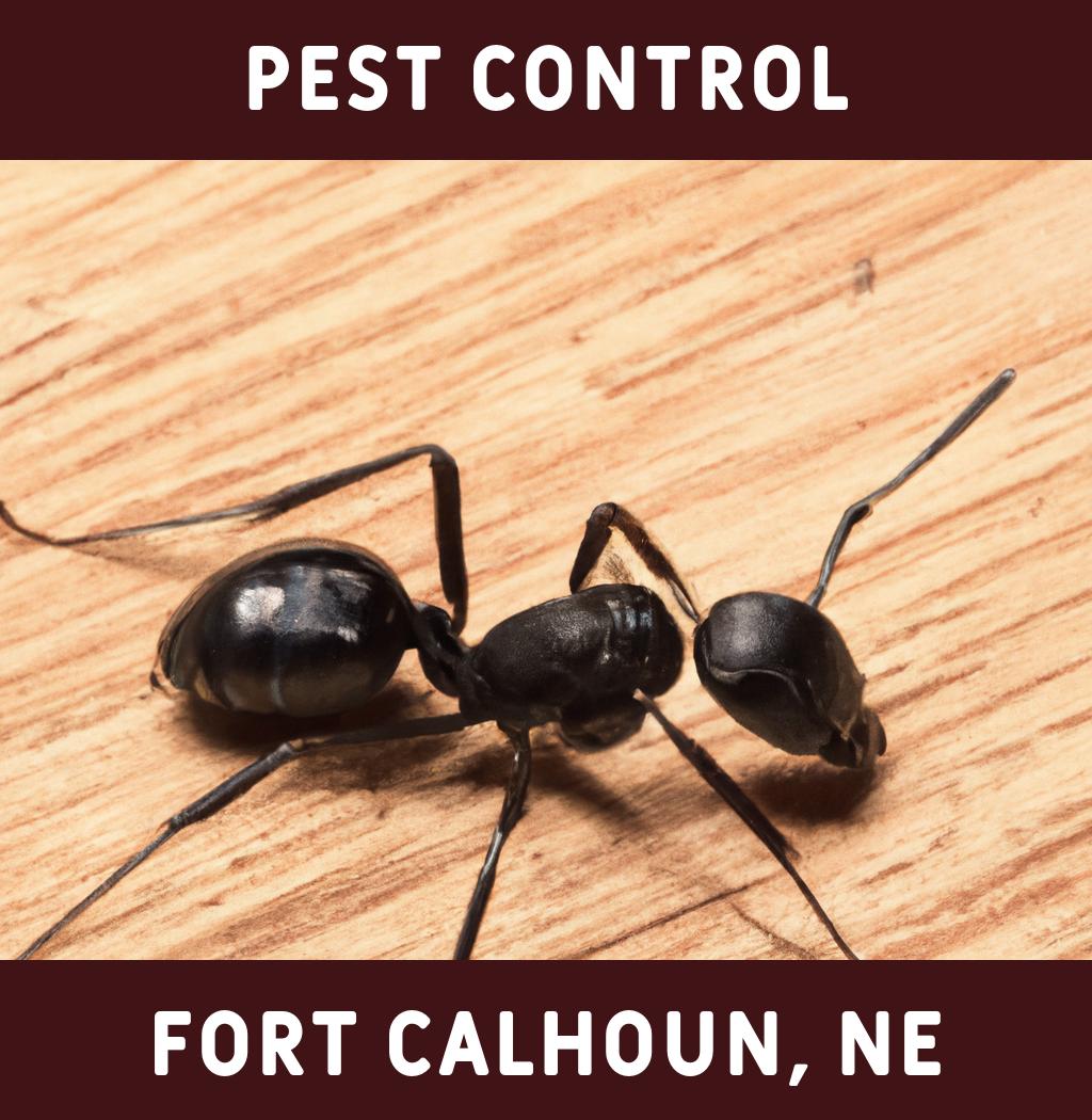 pest control in Fort Calhoun Nebraska