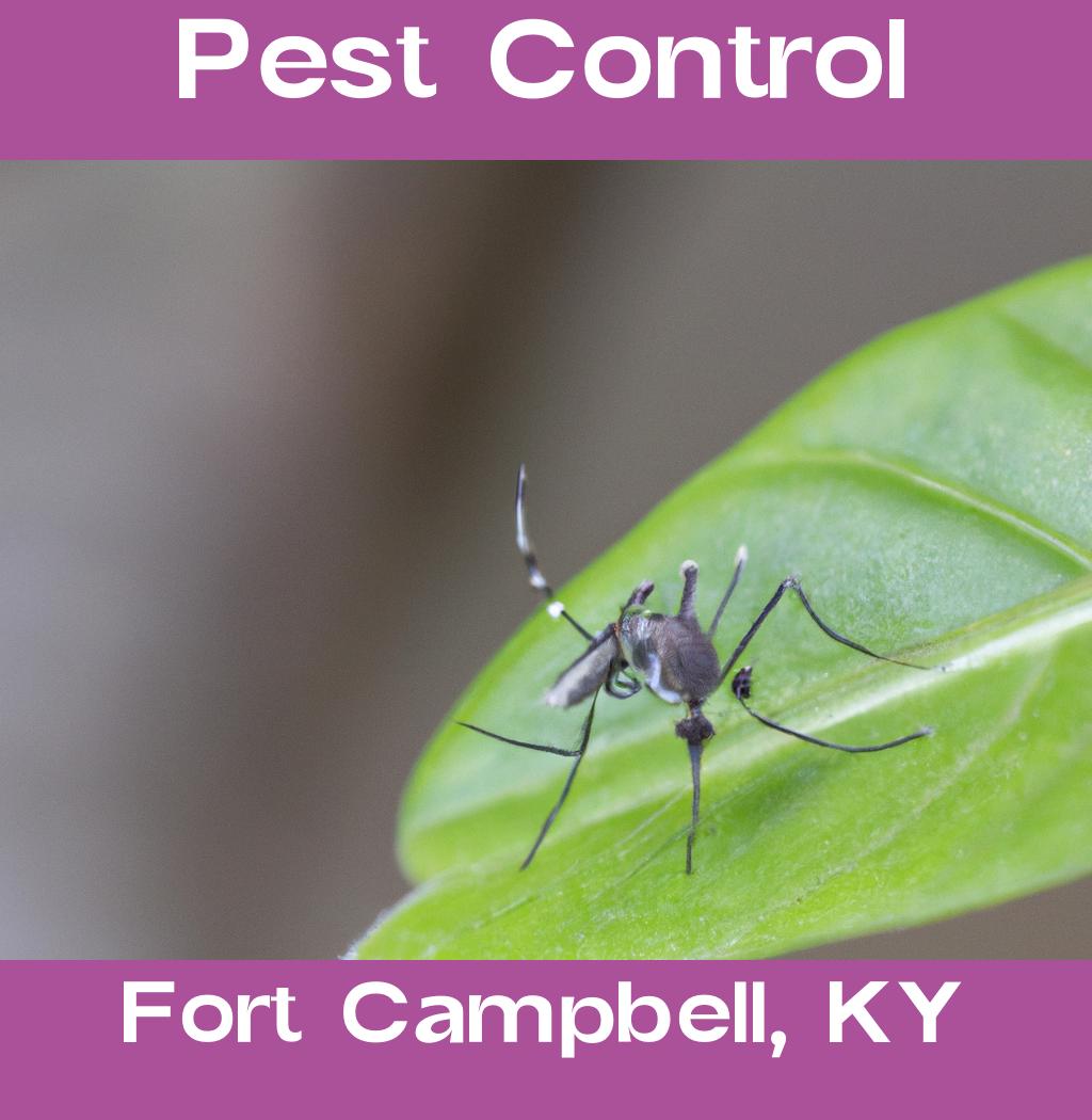 pest control in Fort Campbell Kentucky