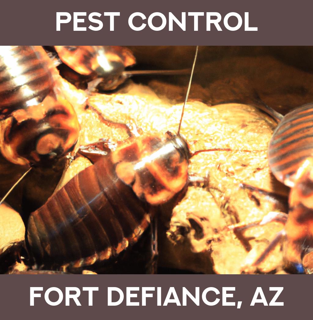 pest control in Fort Defiance Arizona