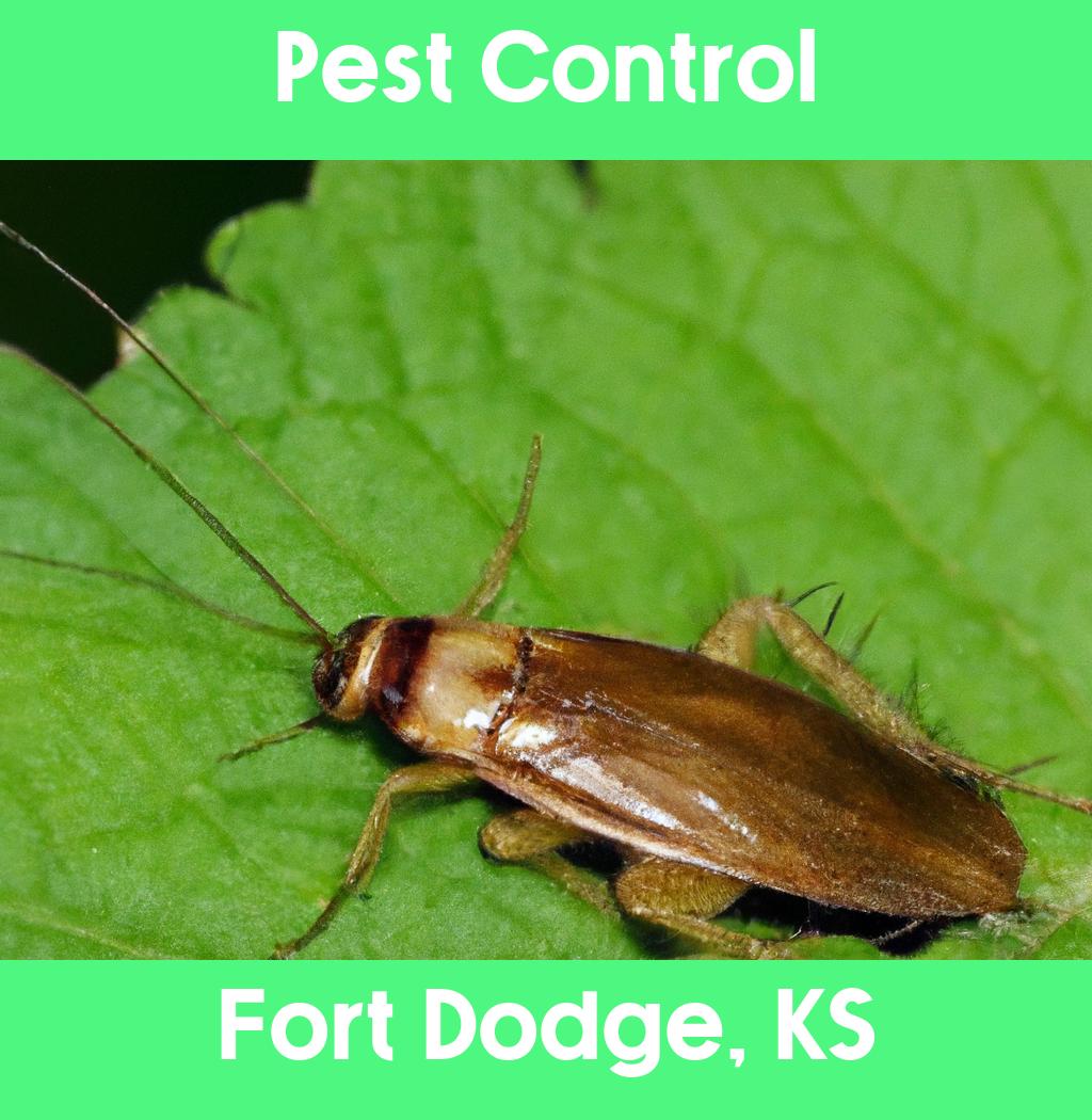 pest control in Fort Dodge Kansas