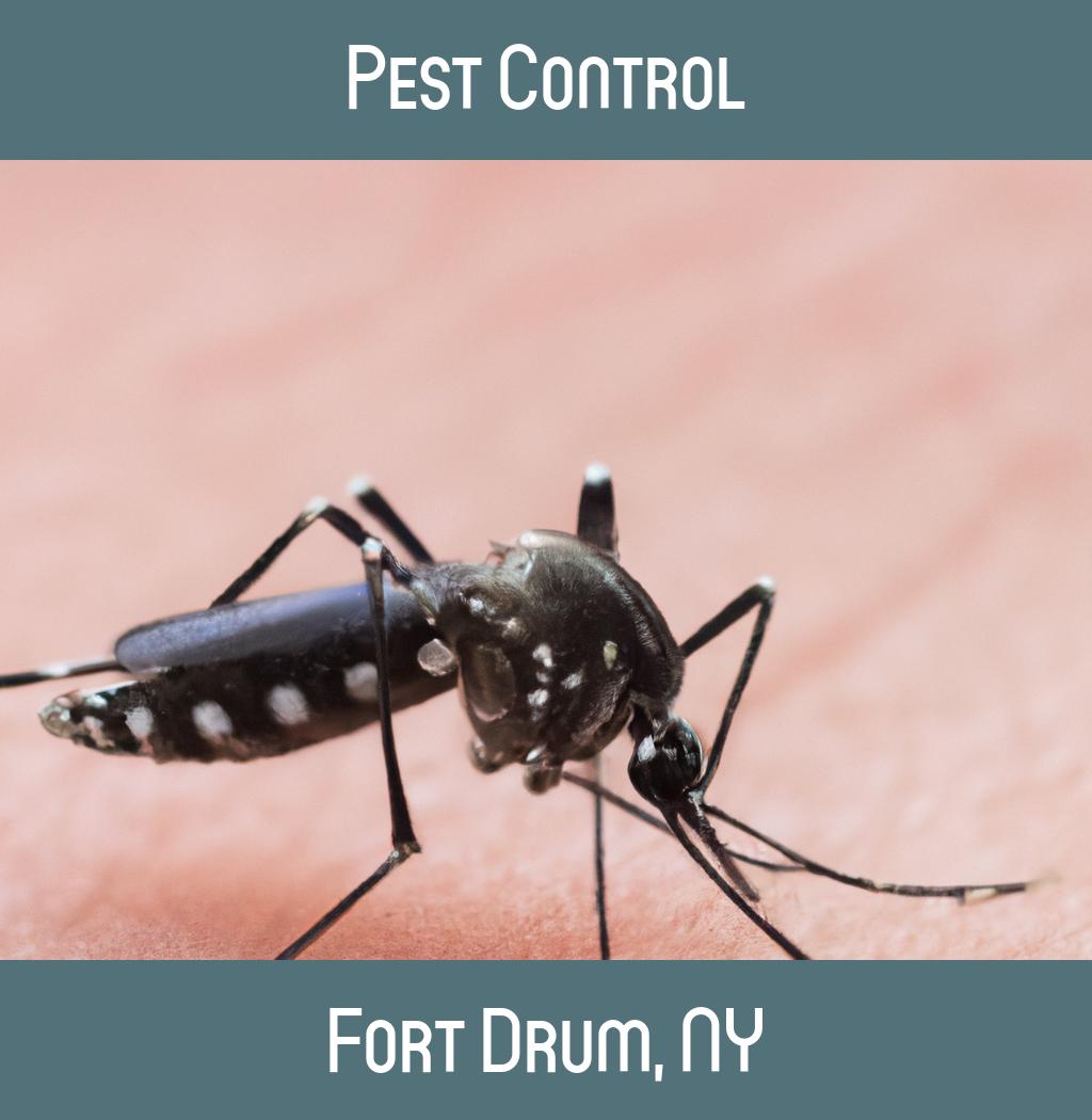 pest control in Fort Drum New York