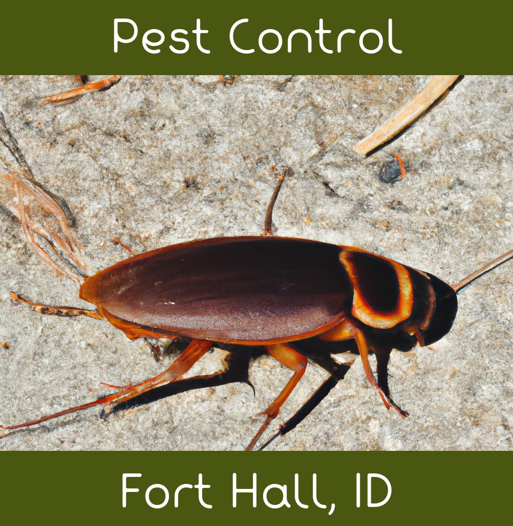 pest control in Fort Hall Idaho