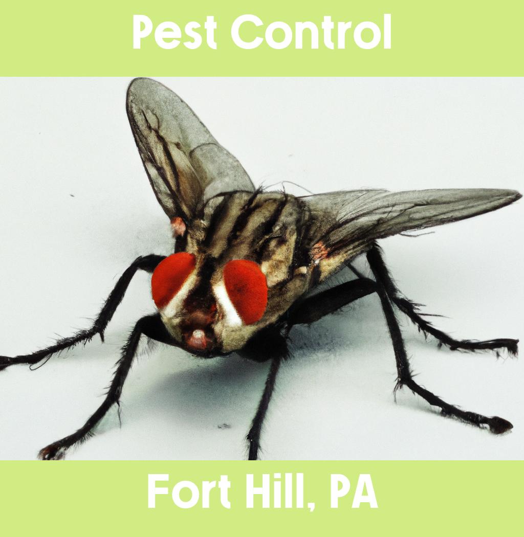 pest control in Fort Hill Pennsylvania