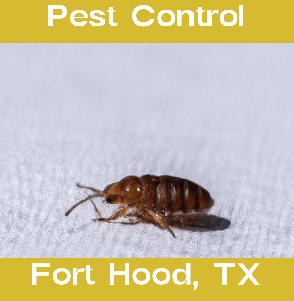 pest control in Fort Hood Texas