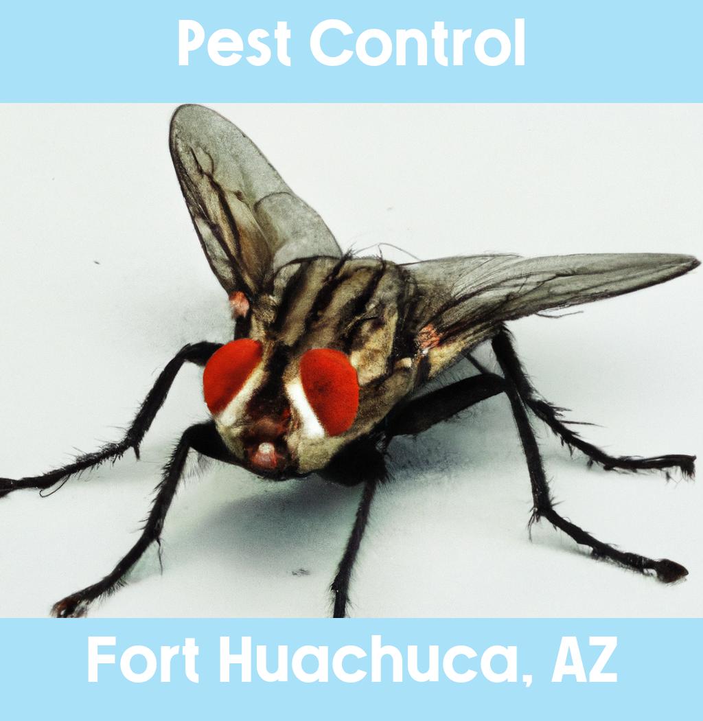 pest control in Fort Huachuca Arizona