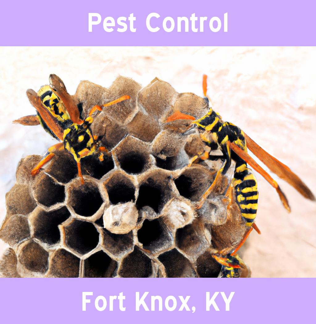 pest control in Fort Knox Kentucky