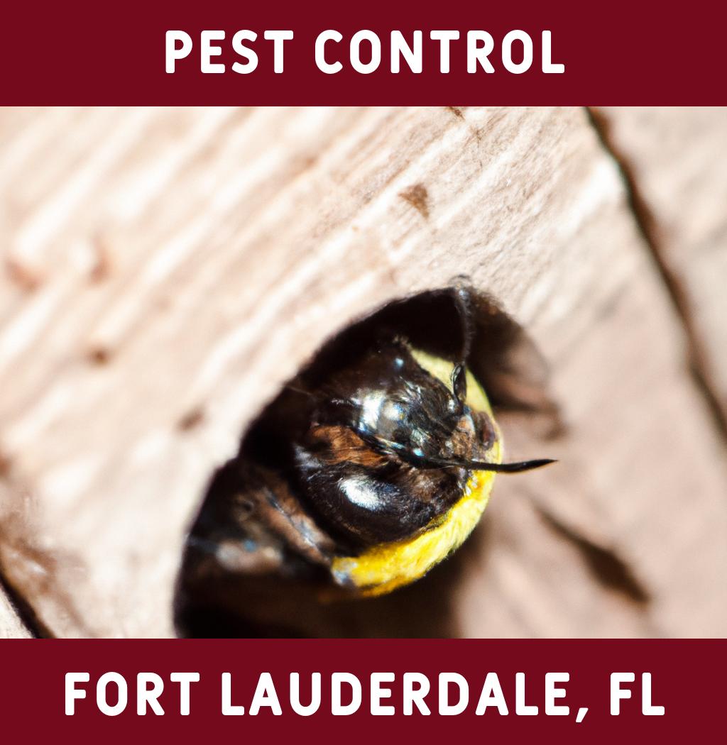 pest control in Fort Lauderdale Florida