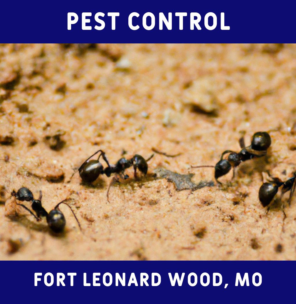 pest control in Fort Leonard Wood Missouri