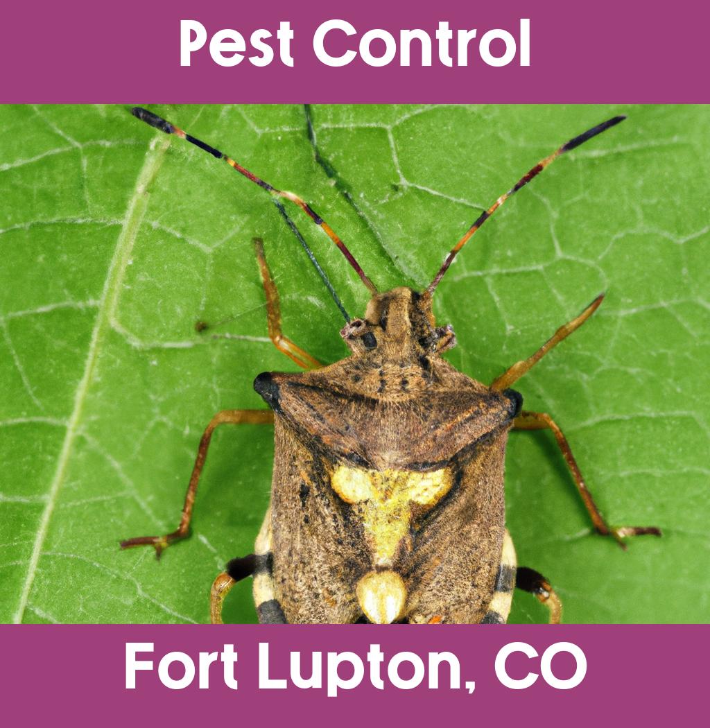 pest control in Fort Lupton Colorado
