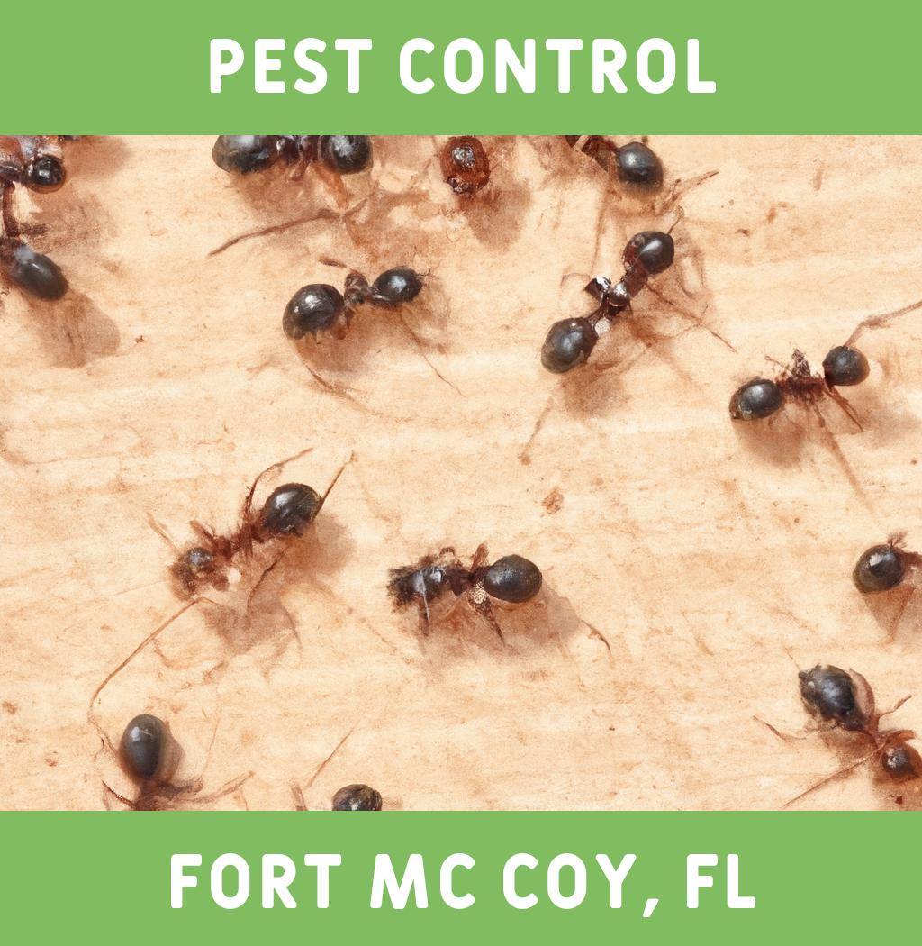 pest control in Fort Mc Coy Florida